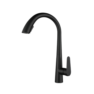 Pull down kitchen sink faucet