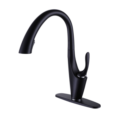Pull down kitchen sink faucet
