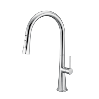 Kitchen sink faucet
